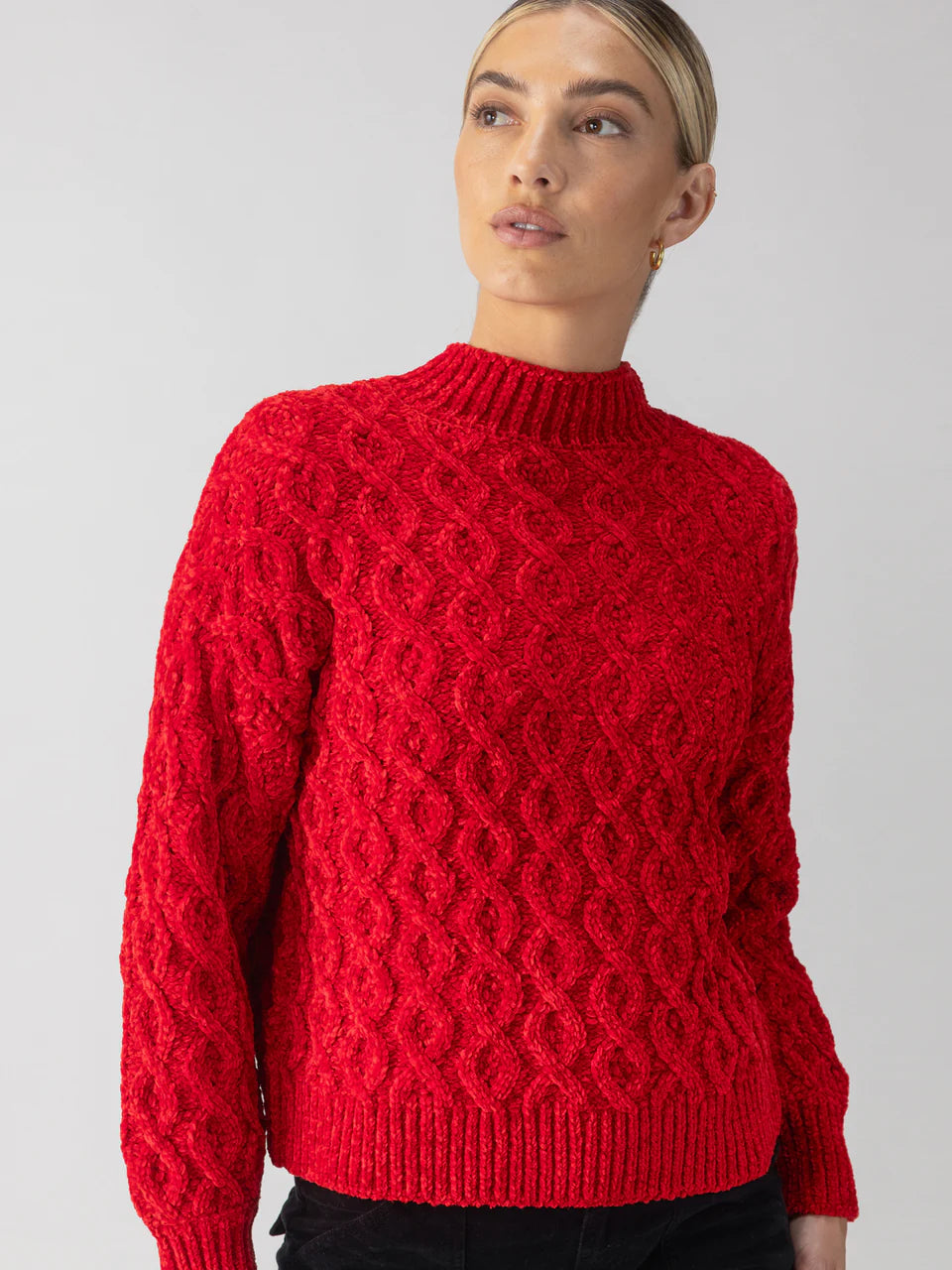 Sanctuary Cable Mock Neck Sweater - Mars Red