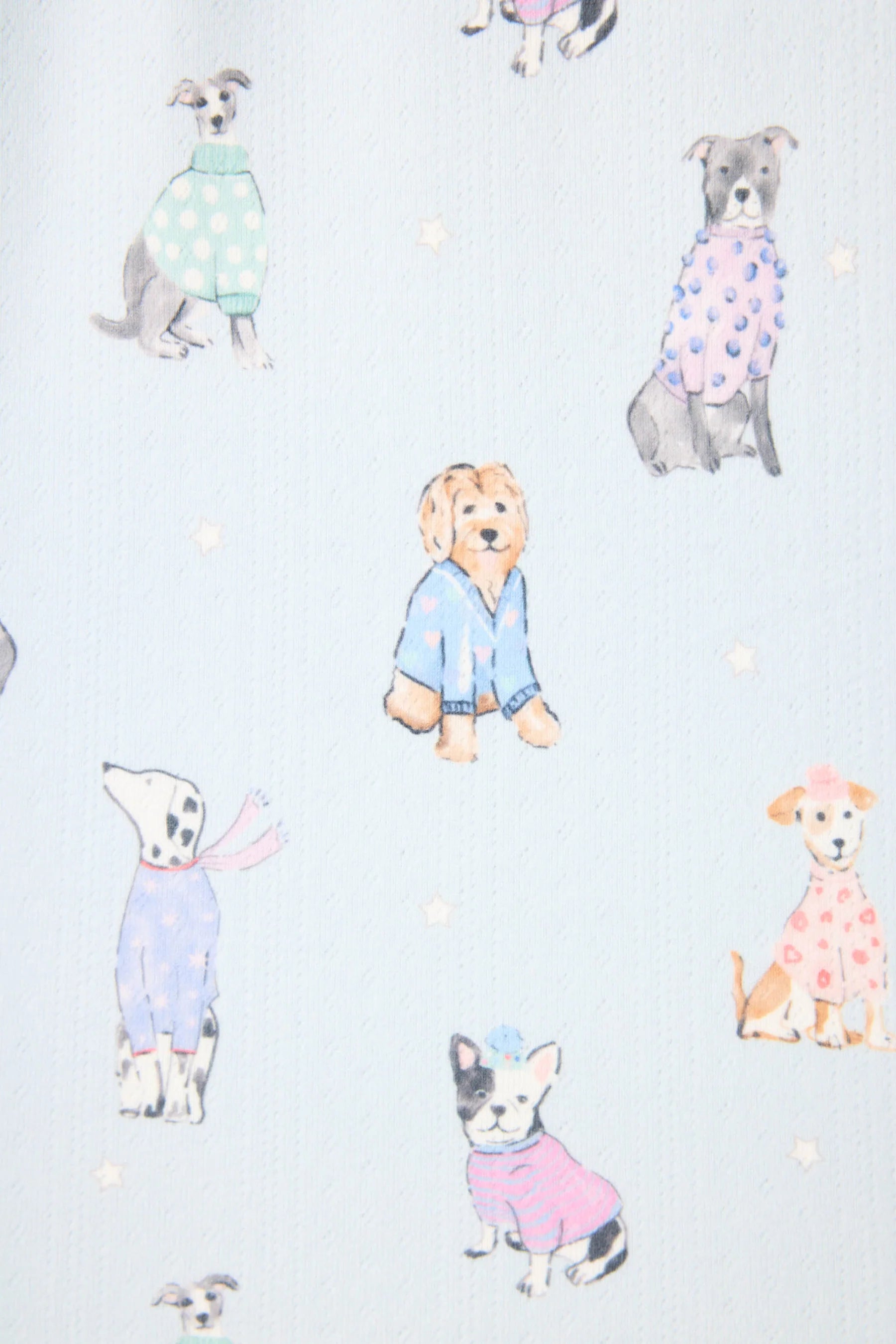 PJ Salvage Doggone Cold PJ Set - Blue Haze