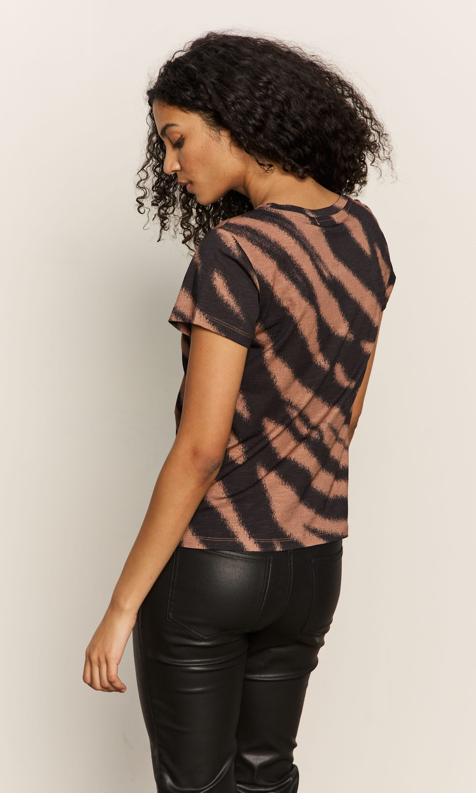 Sanctuary Perfect Tee - Abstract Zebra