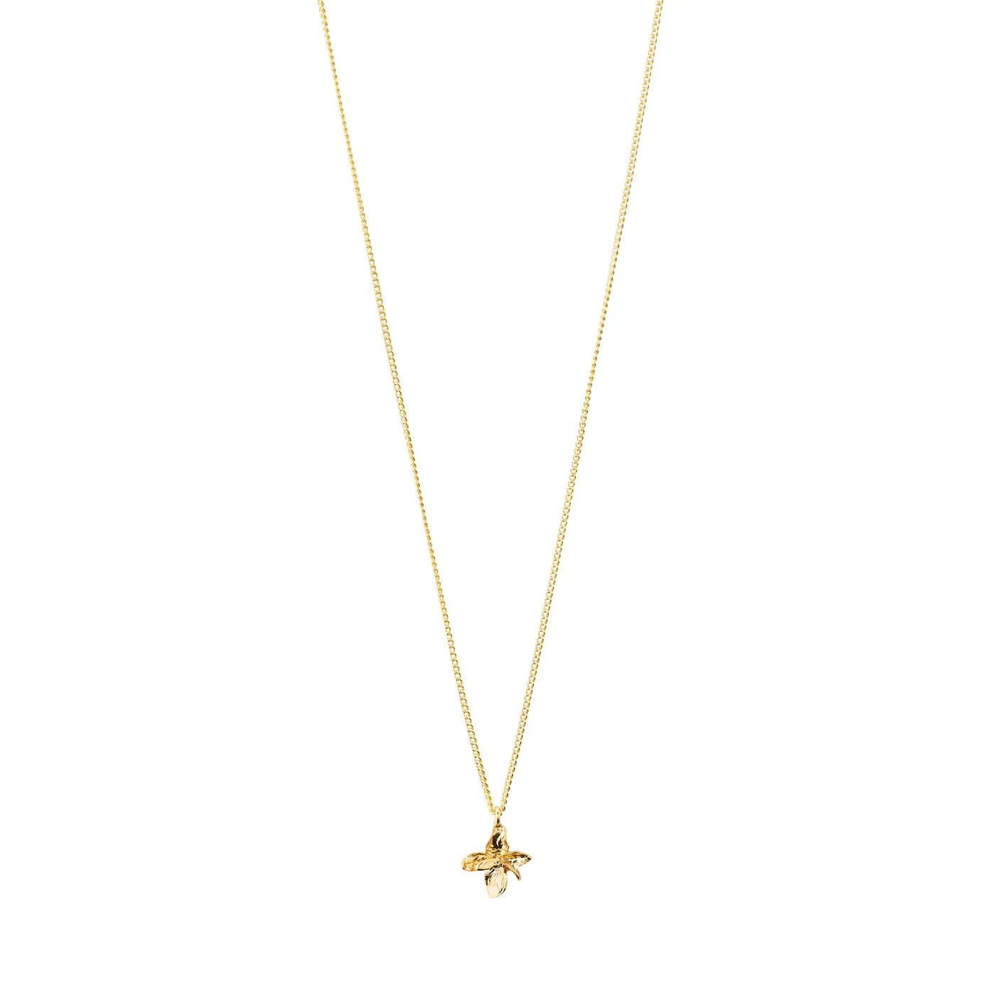 Pilgrim Trace Necklace - Gold