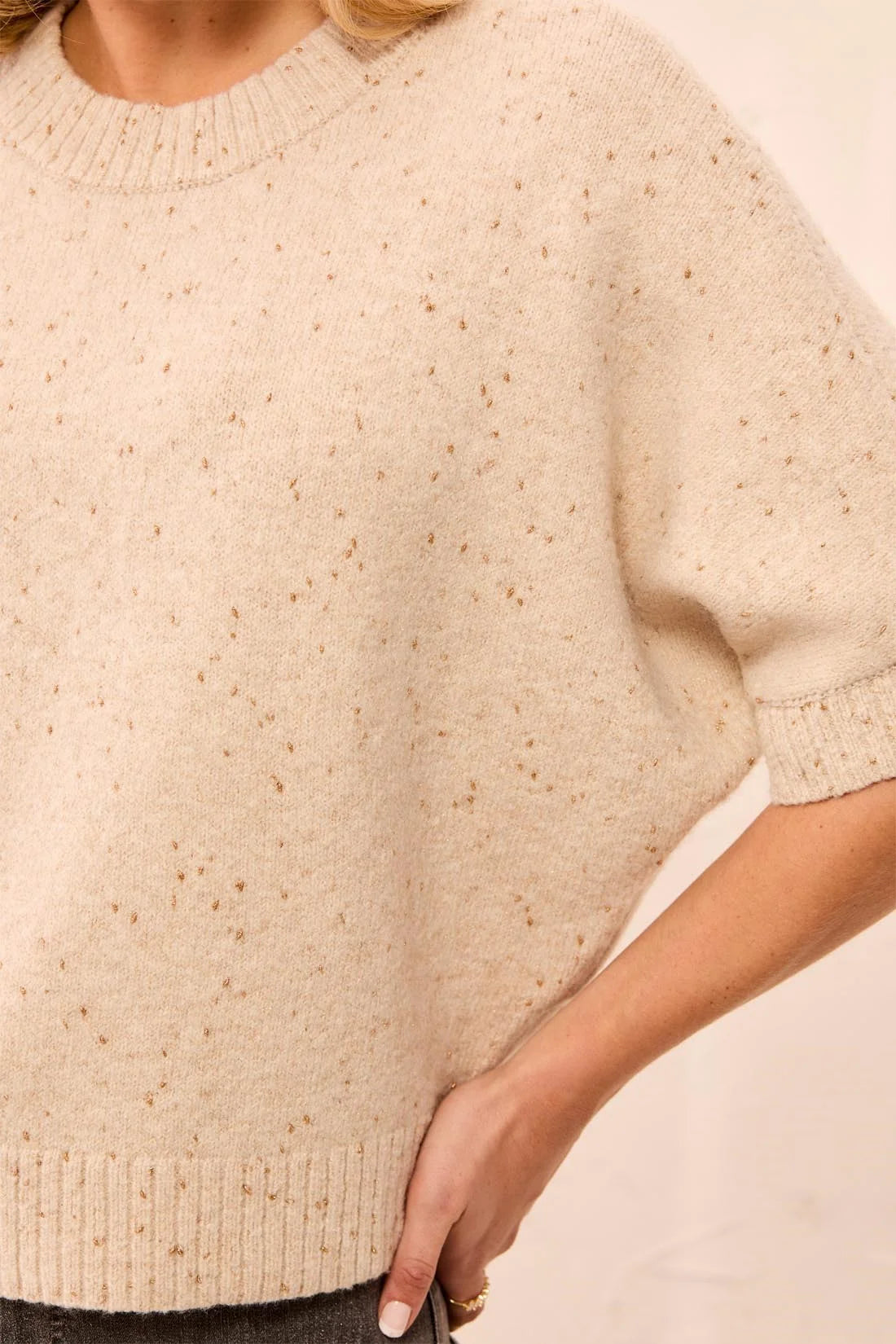 Tribal Lofty Sparkle SS Sweater - Pashmina